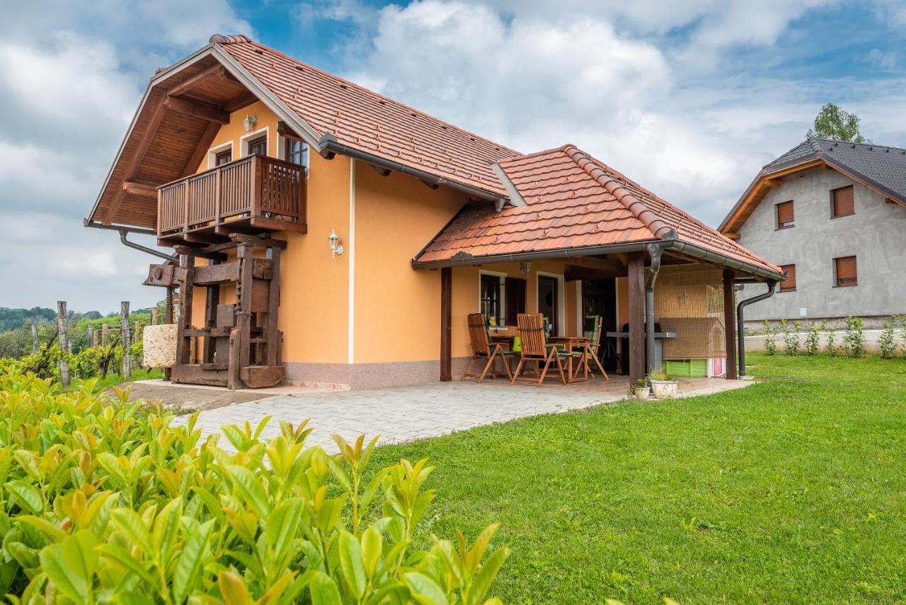 Wineyard Getaway House Villa Sevnica ภายนอก รูปภาพ